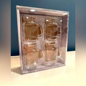 MASON JAR SHOT GLASS SET *Brand New*